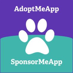 AdoptMeApp Marketing